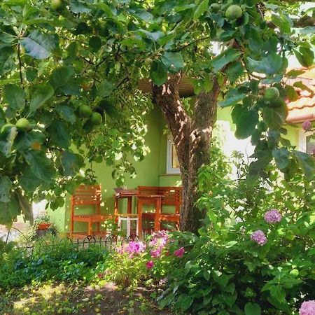 Domek Zielony Миелно Екстериор снимка